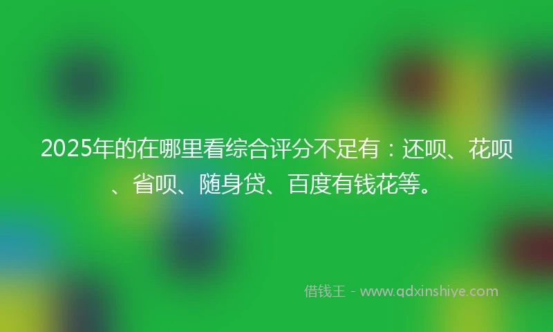 2025年的在哪里看综合评分不足有：还呗、花呗、省呗、随身贷、百度有钱花等。