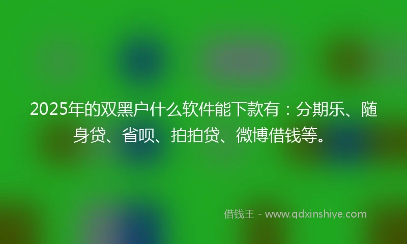 2025年的双黑户什么软件能下款有：分期乐、随身贷、省呗、拍拍贷、微博借钱等。