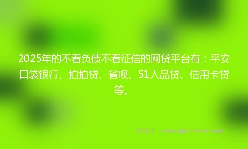 2025年的不看负债不看征信的网贷平台有：平安口袋银行、拍拍贷、省呗、51人品贷、信用卡贷等。