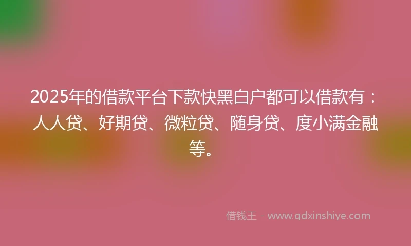 2025年的借款平台下款快黑白户都可以借款有：人人贷、好期贷、微粒贷、随身贷、度小满金融等。