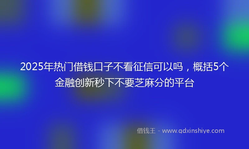2025年热门借钱口子不看征信可以吗，概括5个金融创新秒下不要芝麻分的平台