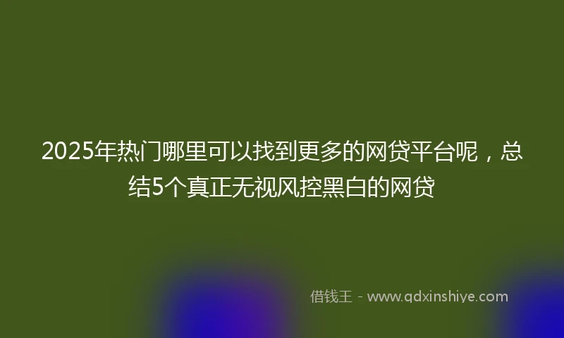 2025年热门哪里可以找到更多的网贷平台呢，总结5个真正无视风控黑白的网贷