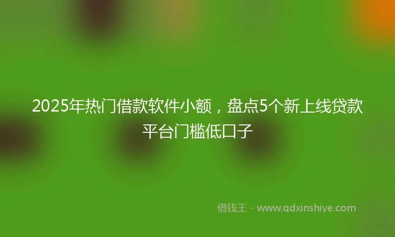 2025年热门借款软件小额，盘点5个新上线贷款平台门槛低口子