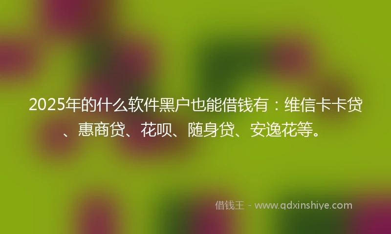 2025年的什么软件黑户也能借钱有：维信卡卡贷、惠商贷、花呗、随身贷、安逸花等。