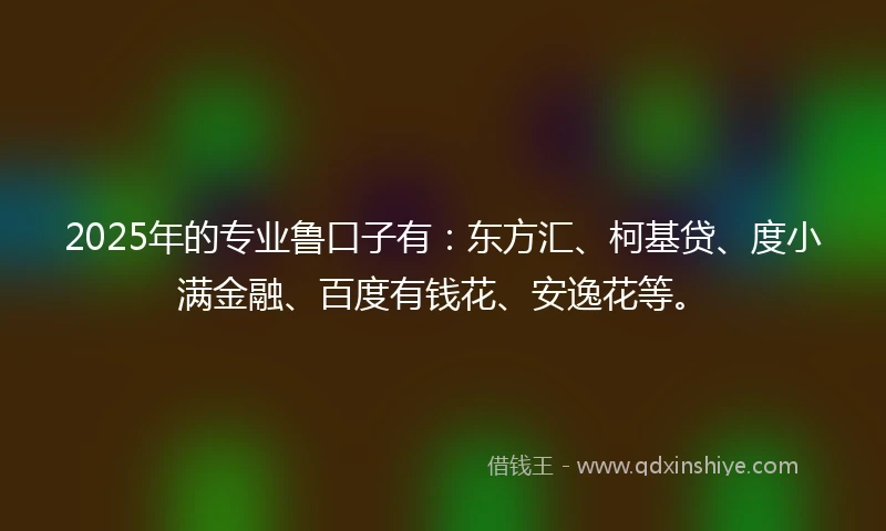 2025年的专业鲁口子有：东方汇、柯基贷、度小满金融、百度有钱花、安逸花等。