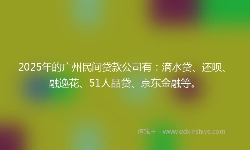 2025年的广州民间贷款公司有：滴水贷、还呗、融逸花、51人品贷、京东金融等。