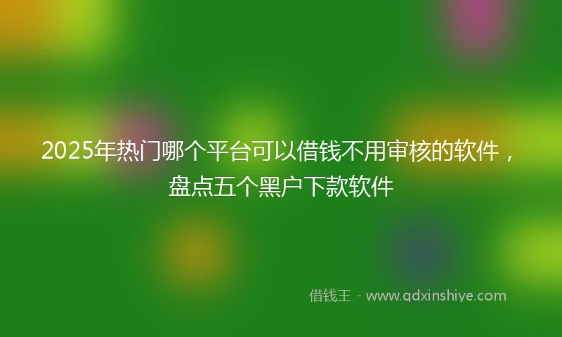 2025年热门哪个平台可以借钱不用审核的软件，盘点五个黑户下款软件