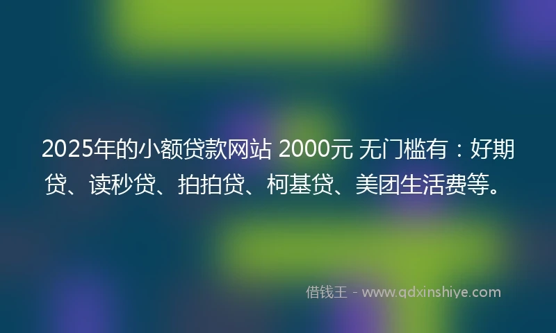 2025年的小额贷款网站 2000元 无门槛有：好期贷、读秒贷、拍拍贷、柯基贷、美团生活费等。