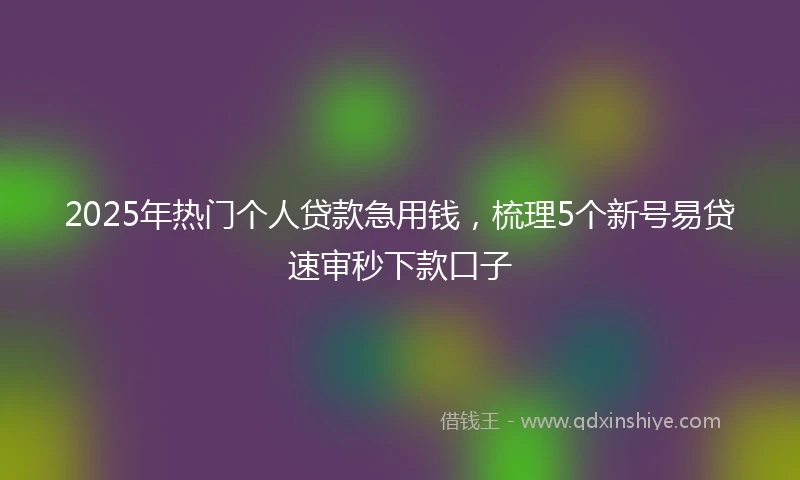 2025年热门个人贷款急用钱，梳理5个新号易贷速审秒下款口子