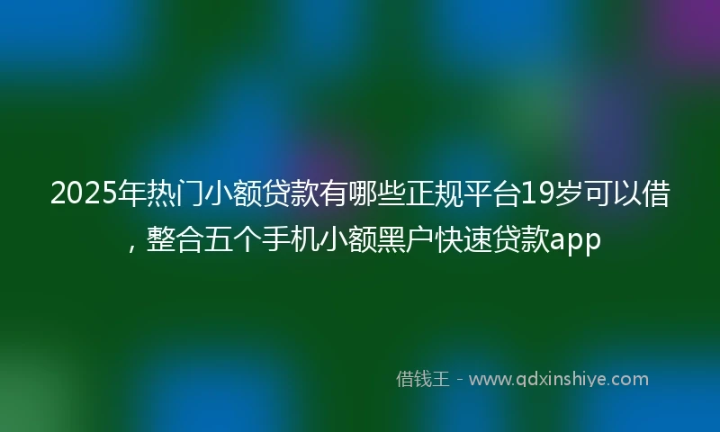 2025年热门小额贷款有哪些正规平台19岁可以借，整合五个手机小额黑户快速贷款app