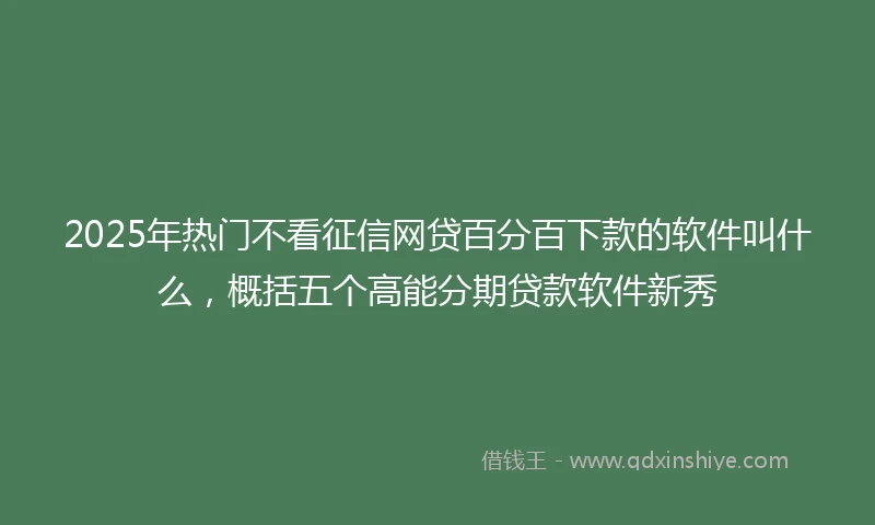 2025年热门不看征信网贷百分百下款的软件叫什么，概括五个高能分期贷款软件新秀