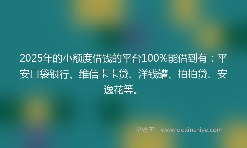 2025年的小额度借钱的平台100%能借到有：平安口袋银行、维信卡卡贷、洋钱罐、拍拍贷、安逸花等。