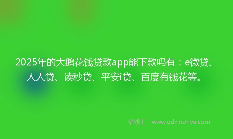2025年的大鹅花钱贷款app能下款吗有：e微贷、人人贷、读秒贷、平安i贷、百度有钱花等。