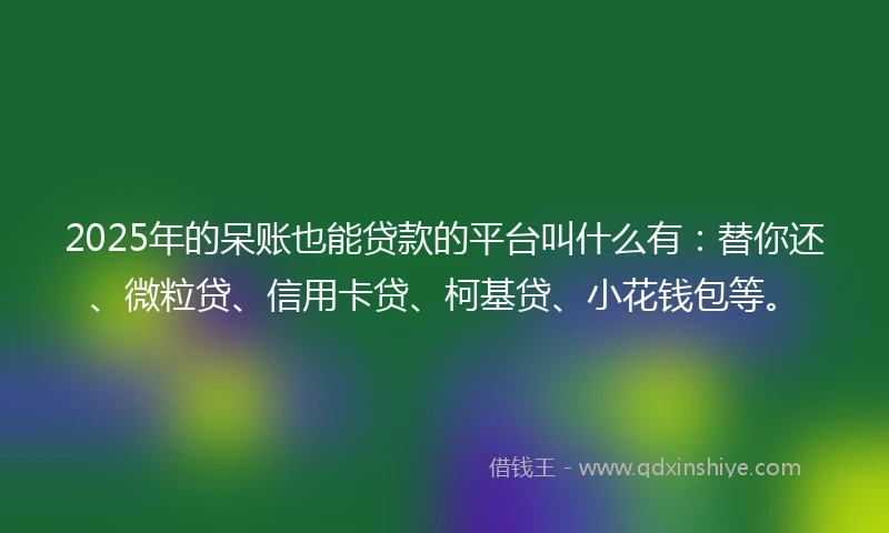2025年的呆账也能贷款的平台叫什么有:替你还、微粒贷、信用卡贷、柯基贷、小花钱包等。