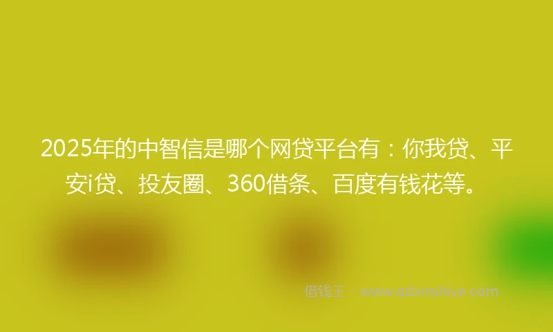 2025年的中智信是哪个网贷平台有：你我贷、平安i贷、投友圈、360借条、百度有钱花等。
