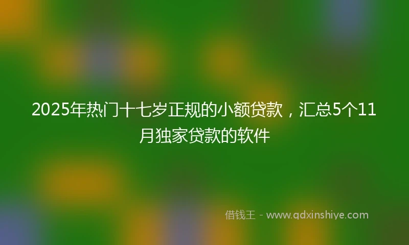 2025年热门十七岁正规的小额贷款，汇总5个11月独家贷款的软件