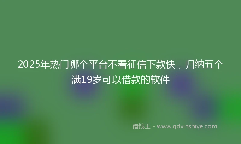 2025年热门哪个平台不看征信下款快，归纳五个满19岁可以借款的软件