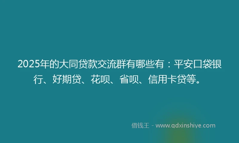 2025年的大同贷款交流群有哪些有：平安口袋银行、好期贷、花呗、省呗、信用卡贷等。