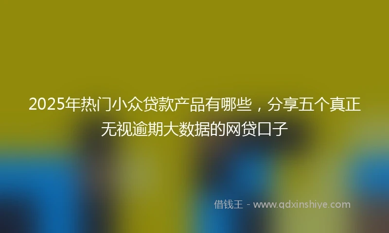 2025年热门小众贷款产品有哪些，分享五个真正无视逾期大数据的网贷口子