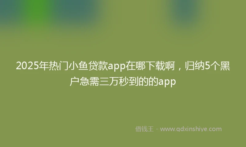 2025年热门小鱼贷款app在哪下载啊，归纳5个黑户急需三万秒到的的app