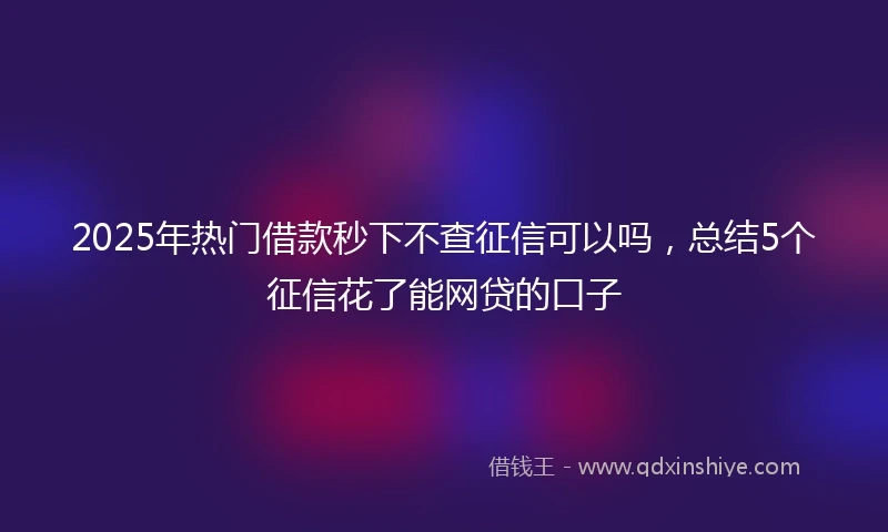 2025年热门借款秒下不查征信可以吗，总结5个征信花了能网贷的口子