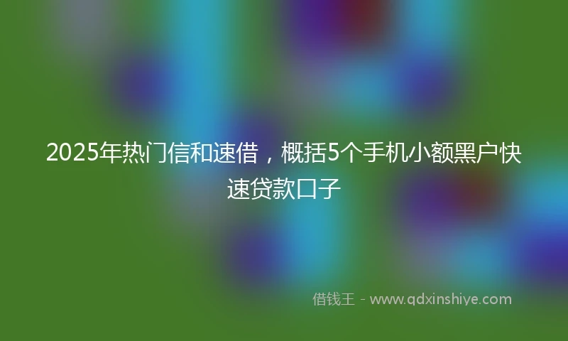 2025年热门信和速借，概括5个手机小额黑户快速贷款口子