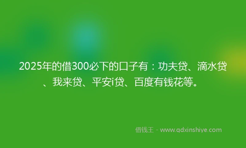 2025年的借300必下的口子有：功夫贷、滴水贷、我来贷、平安i贷、百度有钱花等。