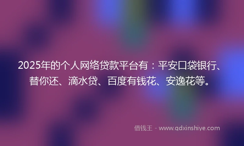 2025年的个人网络贷款平台有：平安口袋银行、替你还、滴水贷、百度有钱花、安逸花等。