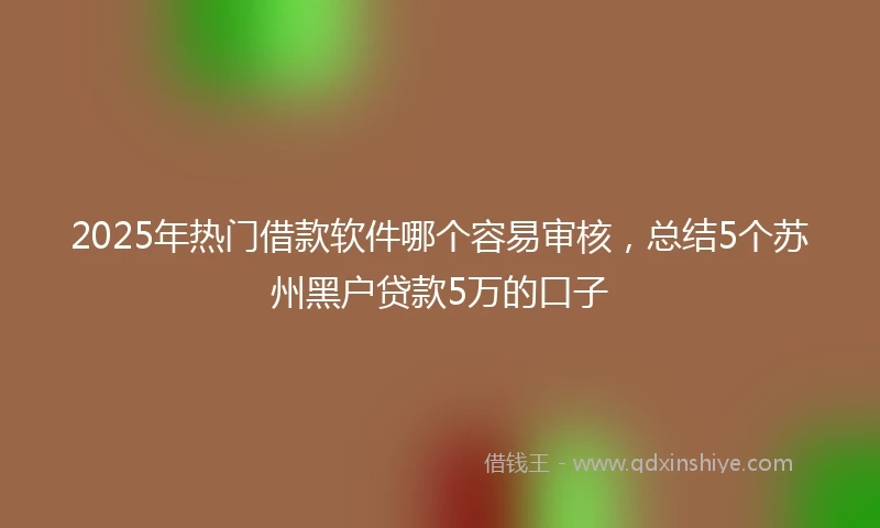 2025年热门借款软件哪个容易审核，总结5个苏州黑户贷款5万的口子