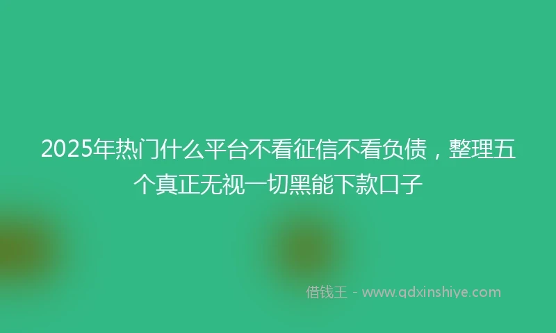 2025年热门什么平台不看征信不看负债，整理五个真正无视一切黑能下款口子