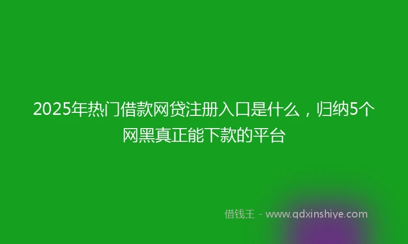 2025年热门借款网贷注册入口是什么，归纳5个网黑真正能下款的平台