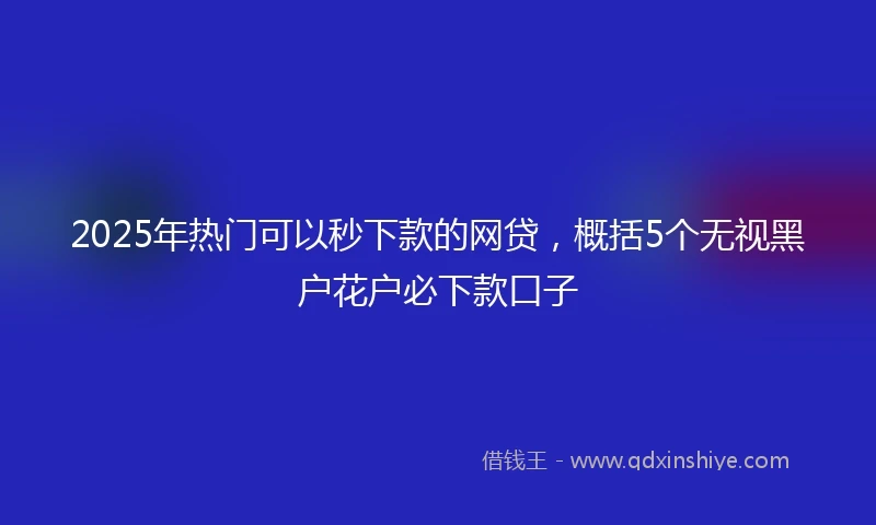 2025年热门可以秒下款的网贷，概括5个无视黑户花户必下款口子