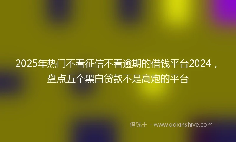 2025年热门不看征信不看逾期的借钱平台2024，盘点五个黑白贷款不是高炮的平台