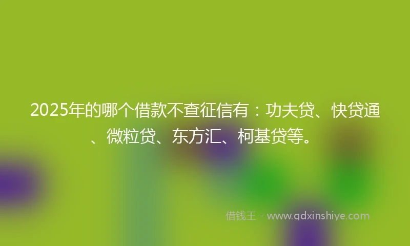 2025年的哪个借款不查征信有：功夫贷、快贷通、微粒贷、东方汇、柯基贷等。