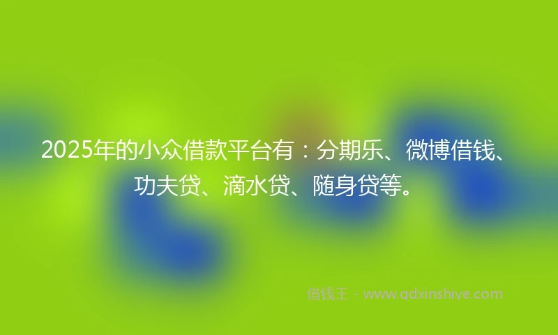 2025年的小众借款平台有：分期乐、微博借钱、功夫贷、滴水贷、随身贷等。