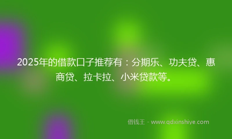 2025年的借款口子推荐有：分期乐、功夫贷、惠商贷、拉卡拉、小米贷款等。
