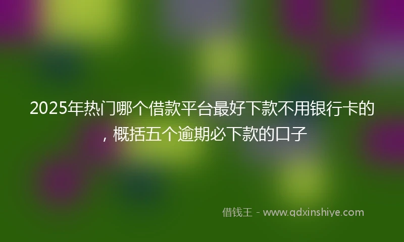 2025年热门哪个借款平台最好下款不用银行卡的，概括五个逾期必下款的口子