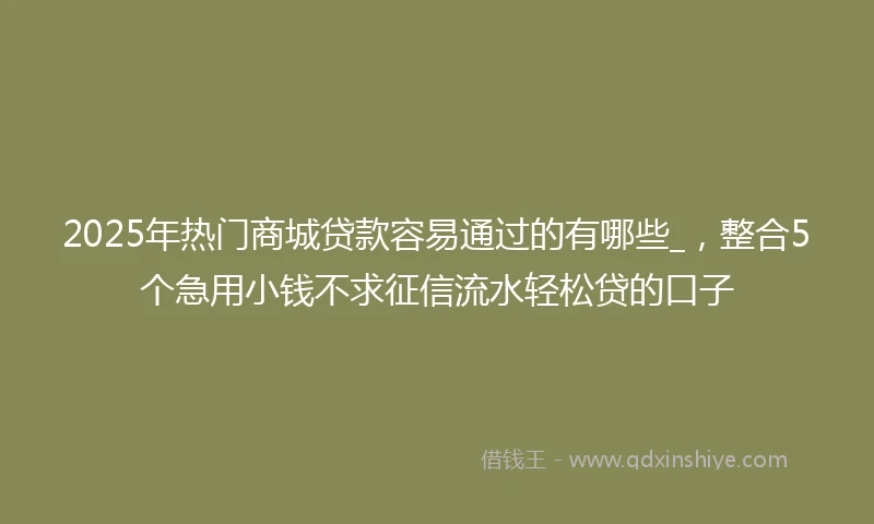 2025年热门商城贷款容易通过的有哪些_，整合5个急用小钱不求征信流水轻松贷的口子