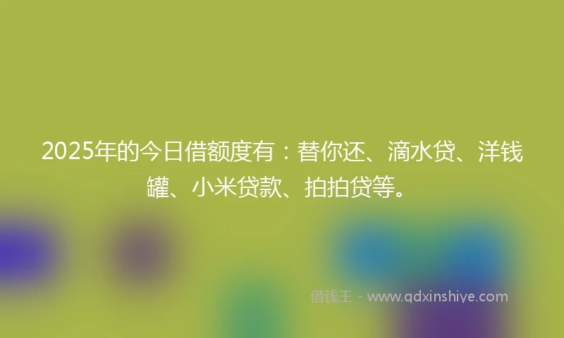 2025年的今日借额度有：替你还、滴水贷、洋钱罐、小米贷款、拍拍贷等。