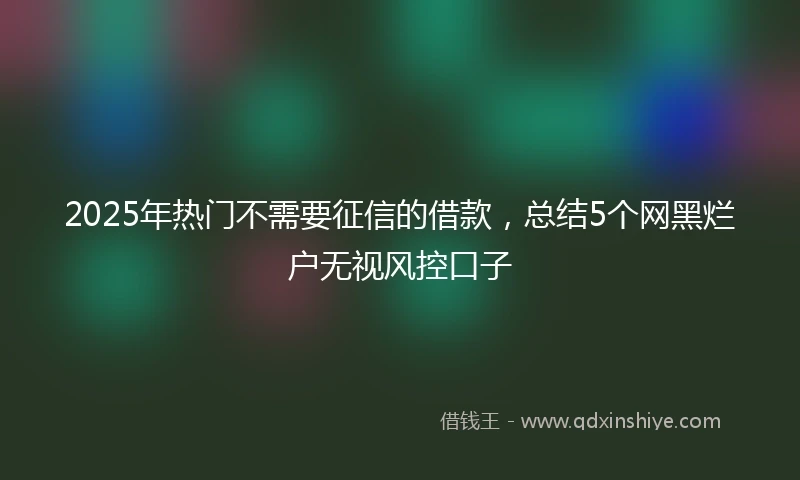2025年热门不需要征信的借款，总结5个网黑烂户无视风控口子