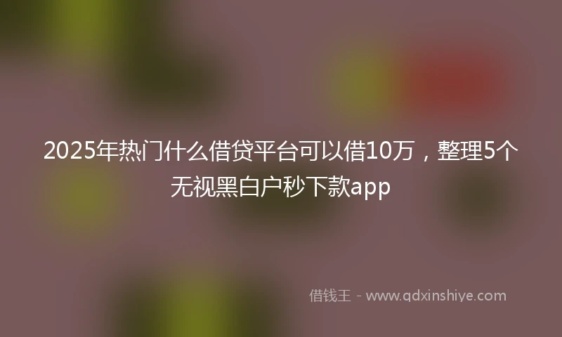 2025年热门什么借贷平台可以借10万，整理5个无视黑白户秒下款app