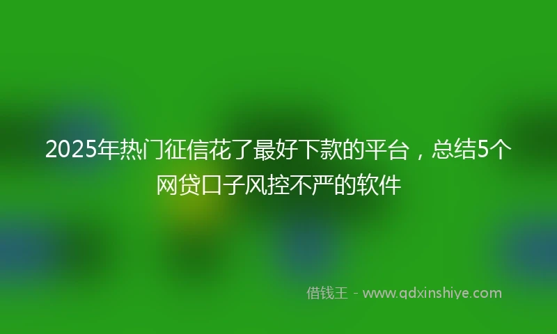 2025年热门征信花了最好下款的平台，总结5个网贷口子风控不严的软件