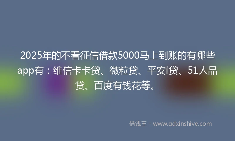 2025年的不看征信借款5000马上到账的有哪些app有：维信卡卡贷、微粒贷、平安i贷、51人品贷、百度有钱花等。