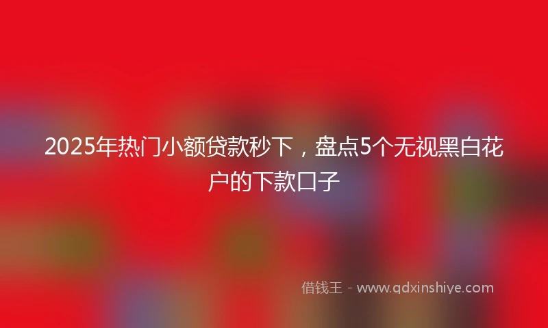 2025年热门小额贷款秒下，盘点5个无视黑白花户的下款口子