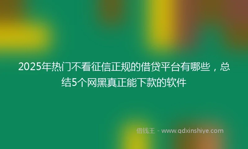 2025年热门不看征信正规的借贷平台有哪些，总结5个网黑真正能下款的软件