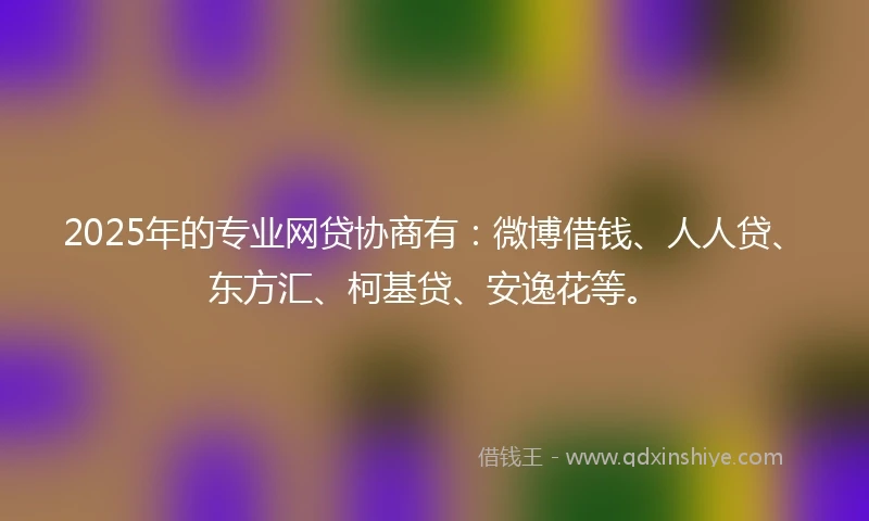 2025年的专业网贷协商有：微博借钱、人人贷、东方汇、柯基贷、安逸花等。