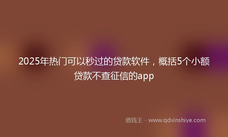 2025年热门可以秒过的贷款软件，概括5个小额贷款不查征信的app