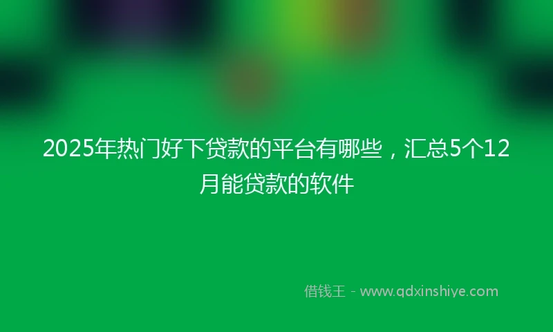 2025年热门好下贷款的平台有哪些，汇总5个12月能贷款的软件