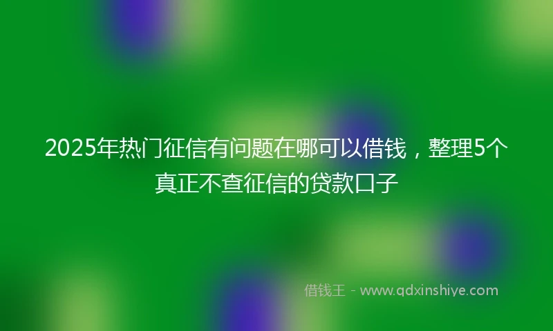 2025年热门征信有问题在哪可以借钱，整理5个真正不查征信的贷款口子