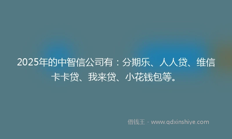 2025年的中智信公司有：分期乐、人人贷、维信卡卡贷、我来贷、小花钱包等。